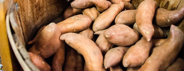 Patate-douce_643X250